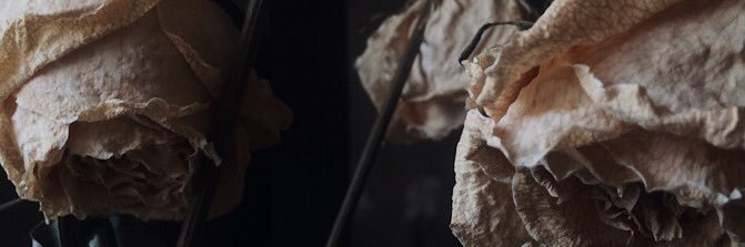 anndorphiine's profile banner image