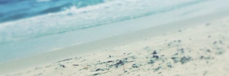 saydee_williams's profile banner image
