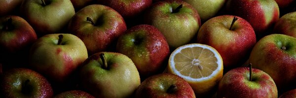 curiouszed Profile Banner