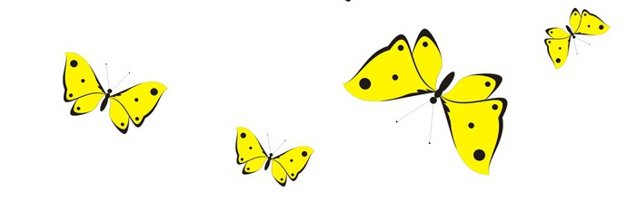 Nineth Barreto banner