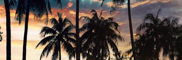 MarcusStewart23 Profile Banner