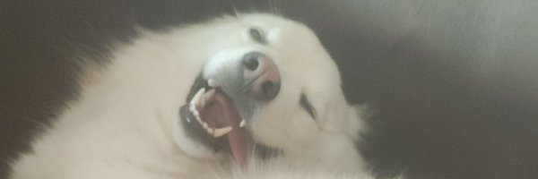 TankerS_ Profile Banner