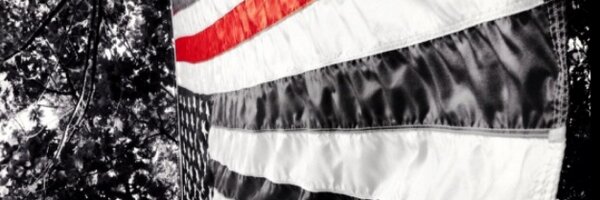 _Sticca Profile Banner