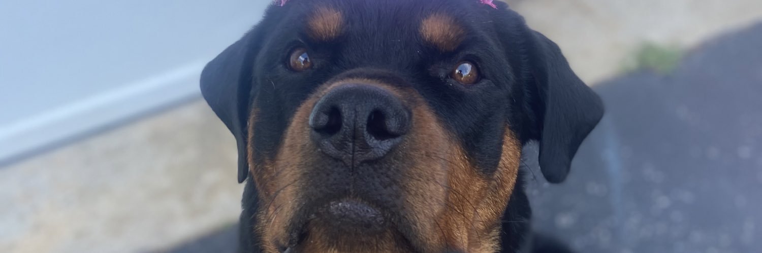 YourBoiZay's profile banner image