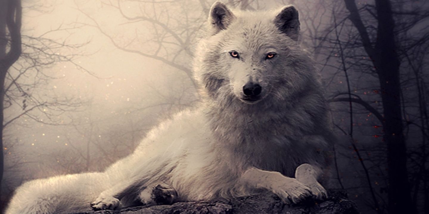 lildudej13's profile banner image