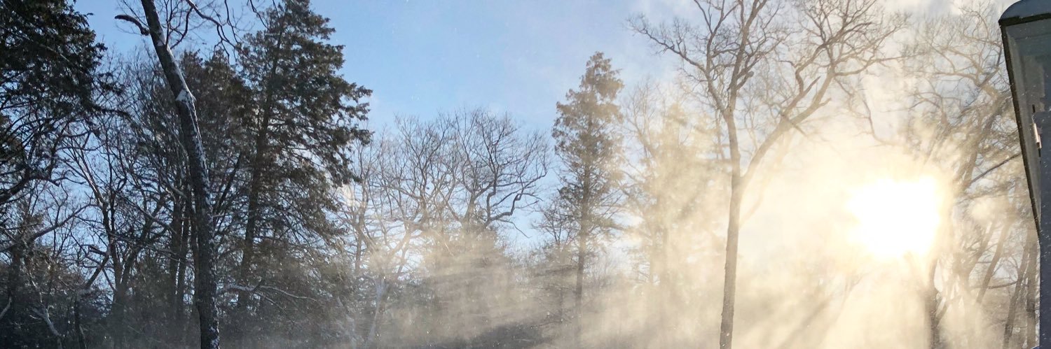 Robert Couturier banner