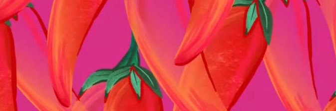 lauritavegave's profile banner image