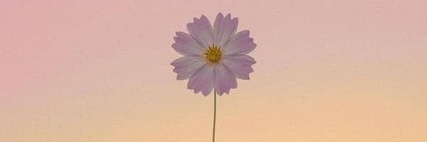 Tyoissweet's profile banner image