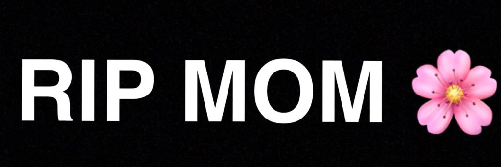 SierraaaaM's profile banner image