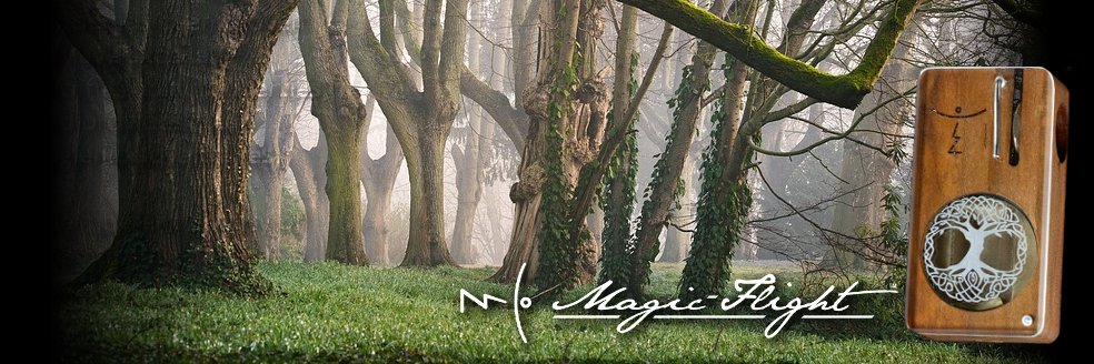 Magic-Flight banner