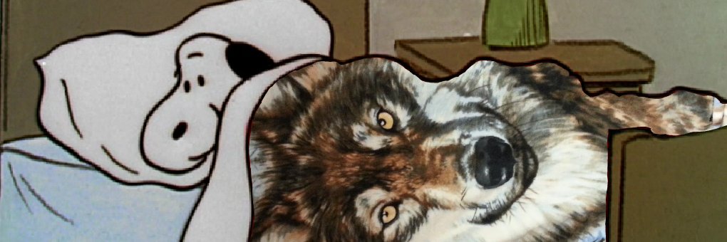 early987's profile banner image