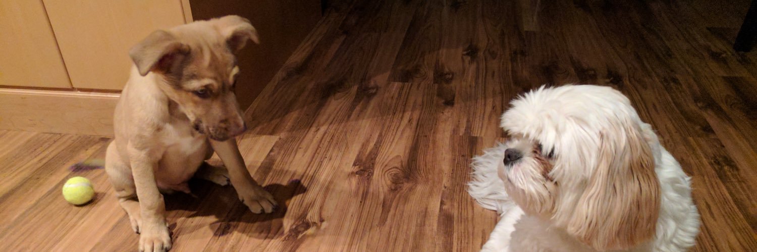 Jakeyslinger's profile banner image