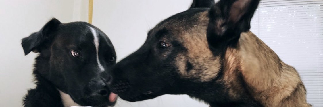 la_rich765's profile banner image