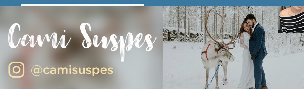 camisuspes's profile banner image