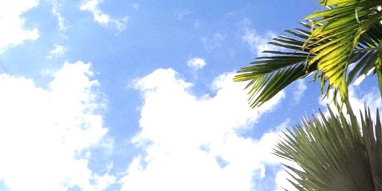 michele h banner