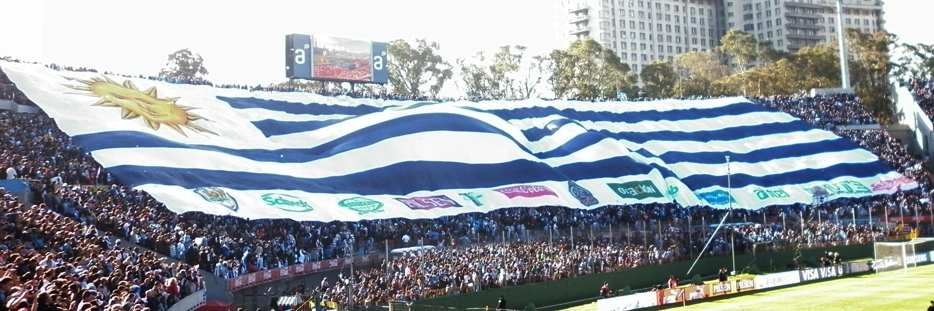 Javier Fernández banner