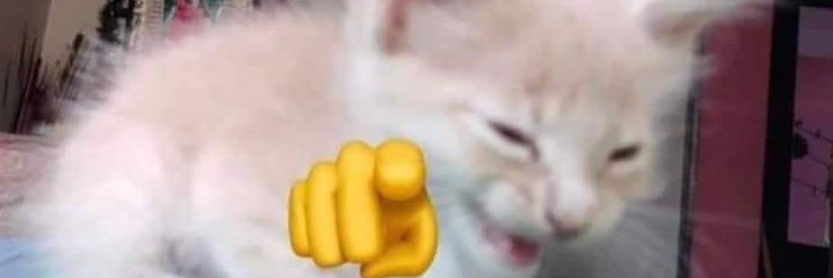 marsneli's profile banner image