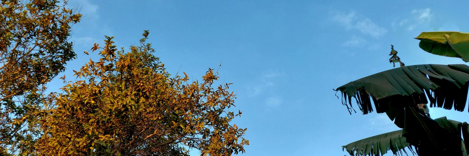 eslam101z's profile banner image