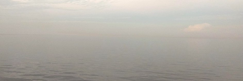 ACGibelli's profile banner image