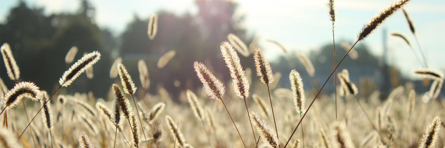 TheHiveMarket's profile banner image