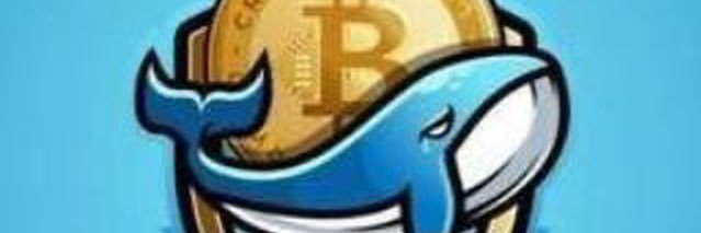 LucasCrypto299's profile banner image