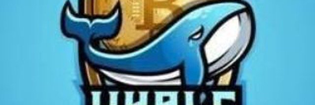 WHALEpump33's profile banner image