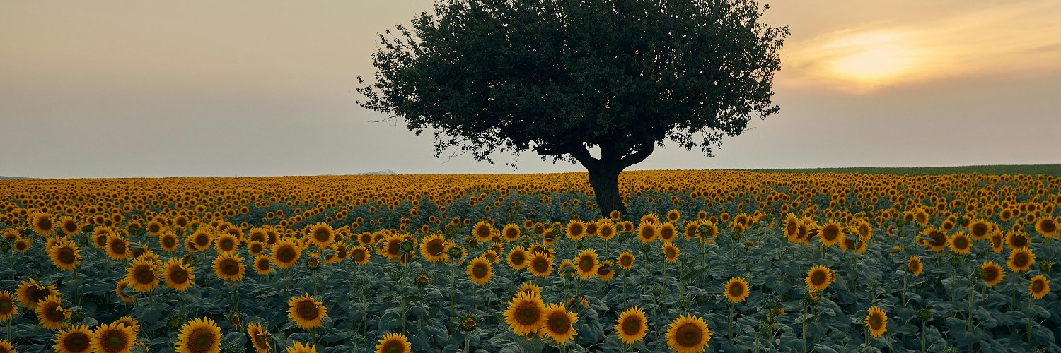 Rory_Gile's profile banner image