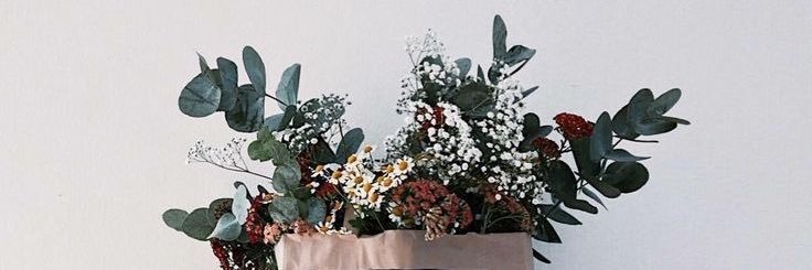 seidyfunez_'s profile banner image