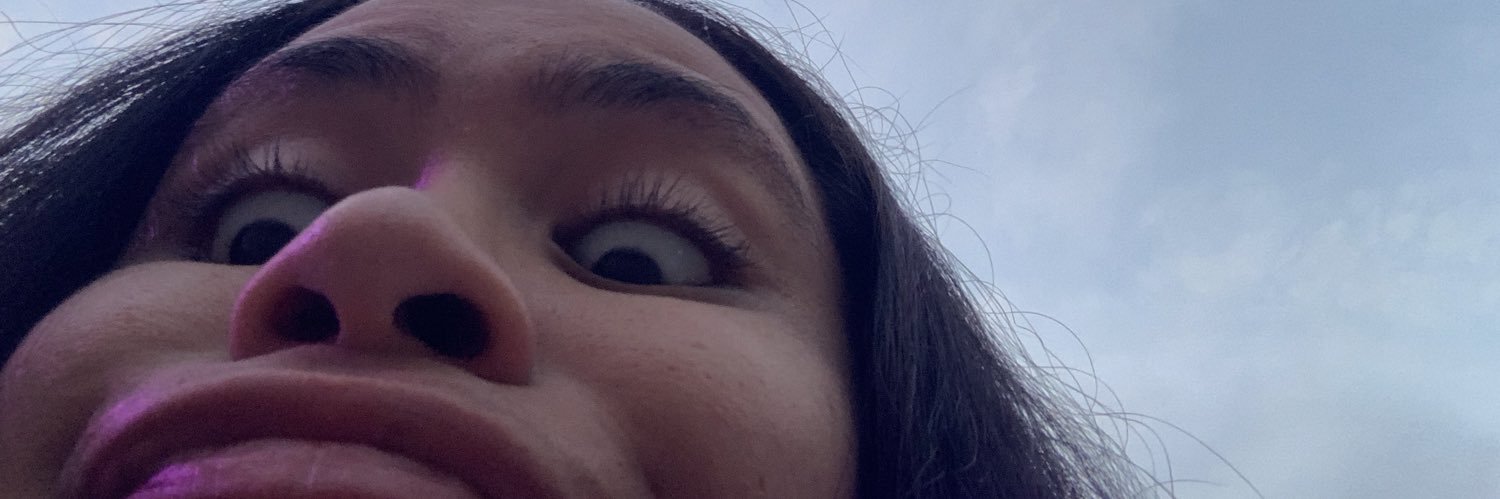 laupolarmy's profile banner image