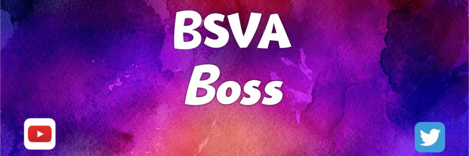 BsvaBossYT's profile banner image
