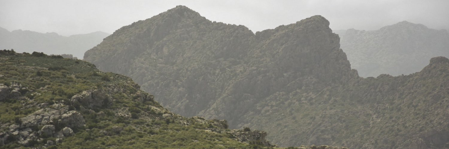 IsabelaVivian's profile banner image