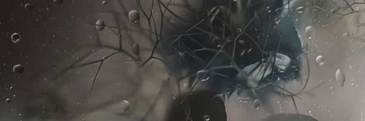 lilbridgeybert's profile banner image