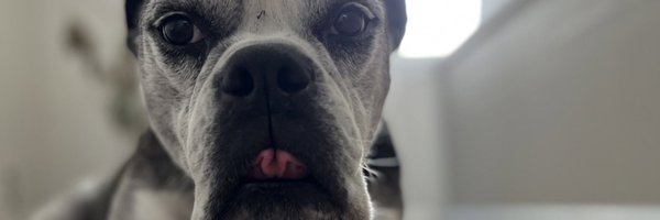 MrChrisMathew Profile Banner