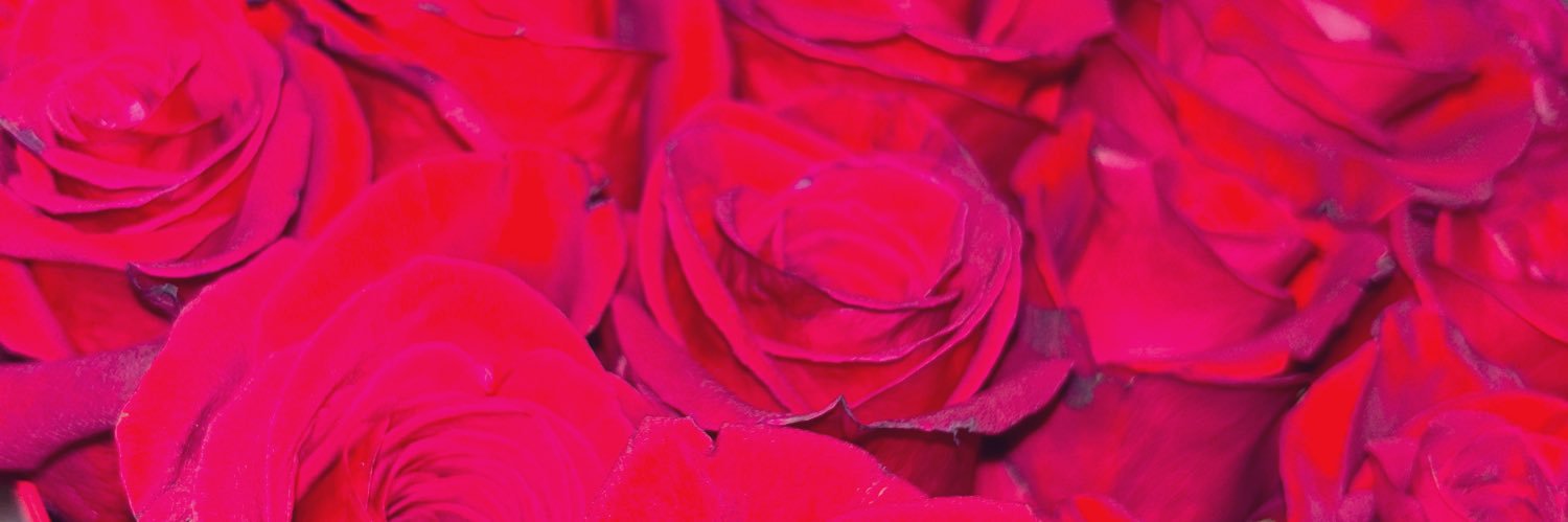 psimone_'s profile banner image
