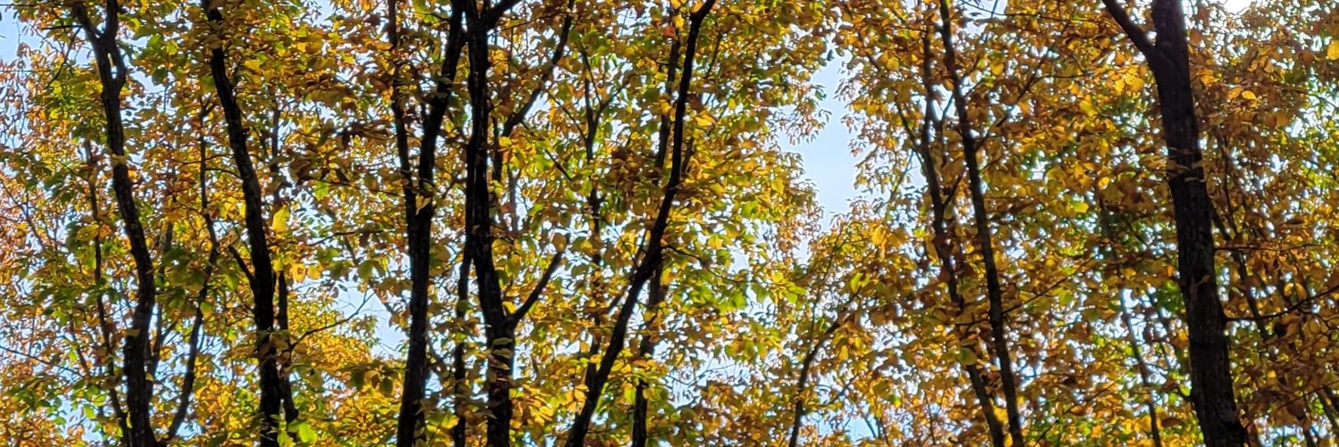 ImOlyM3's profile banner image
