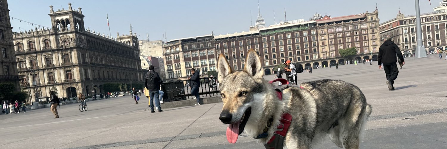 rorcajo's profile banner image