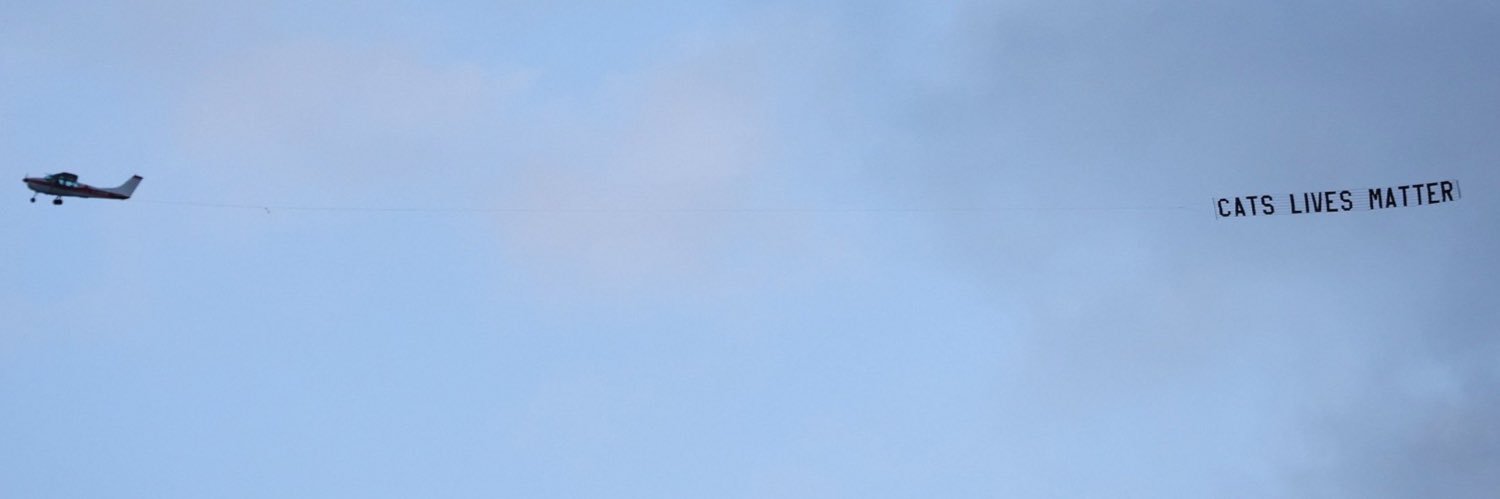 ecarps's profile banner image