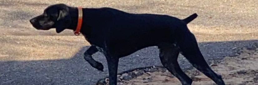JTEvans_3's profile banner image
