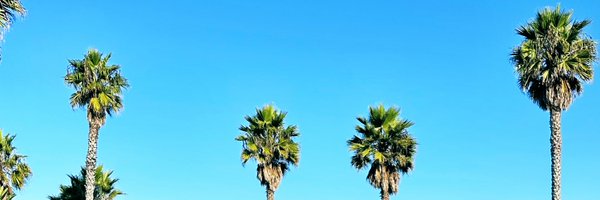 AlanBrown91 Profile Banner