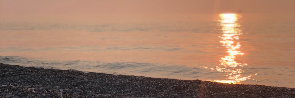 cmyler14's profile banner image