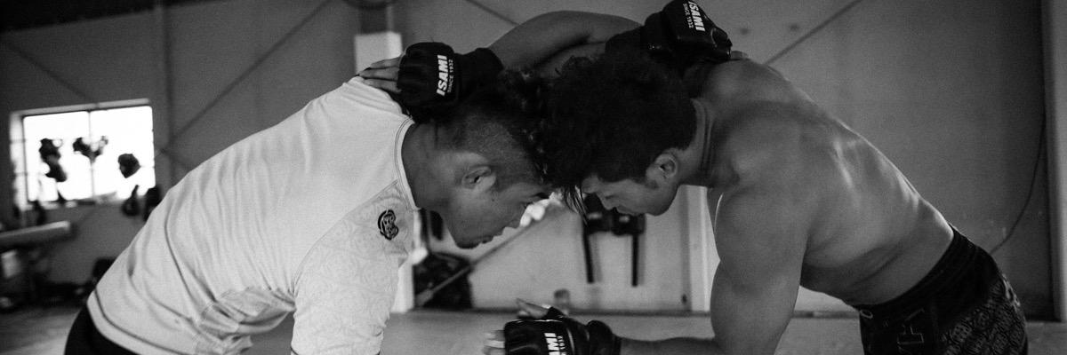 HALEO-OFFICIAL banner