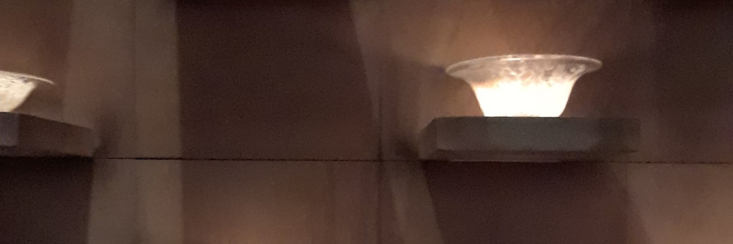 shevonne banner