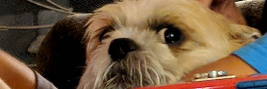 fuckinggeneric's profile banner image