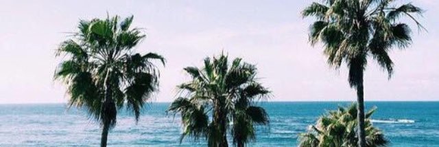 dolansspecialty's profile banner image