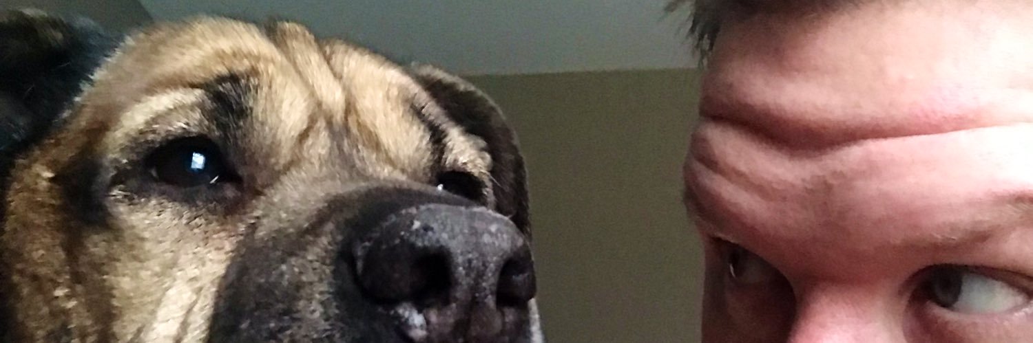 thekingfatty's profile banner image