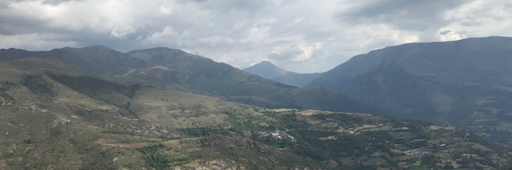 bernacho's profile banner image