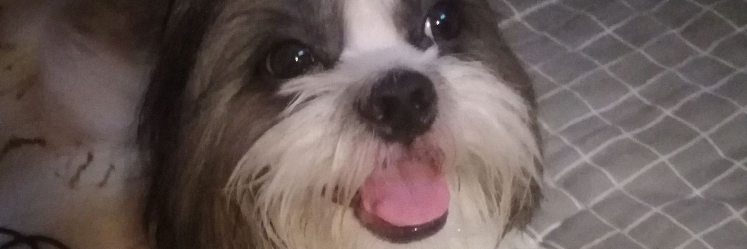 Karole25's profile banner image