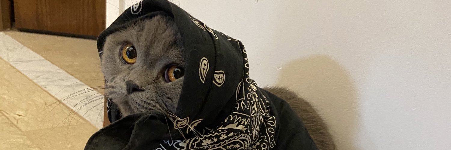 westernal's profile banner image