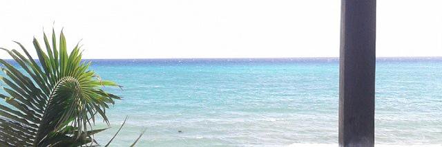Mildred_Gatica's profile banner image