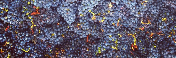 Tmanfluff Profile Banner